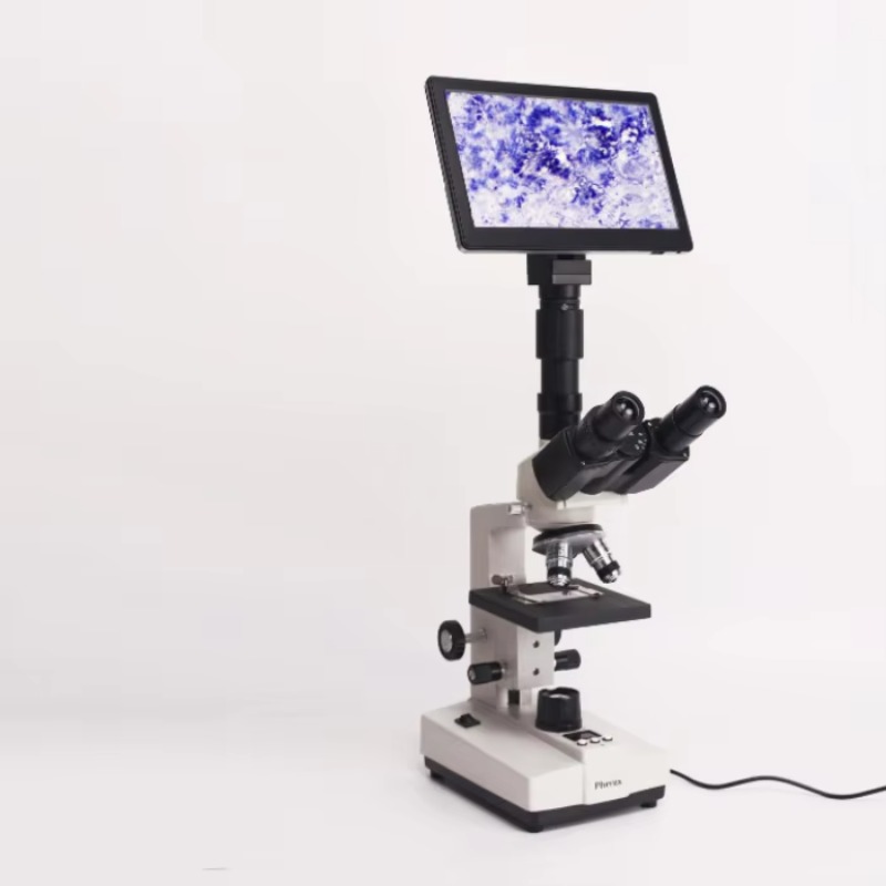 피닉스 XSP-35TVW 동물 정액 현미경 휴대용 CE - Medical Lab Microscope 리뷰 및 가격