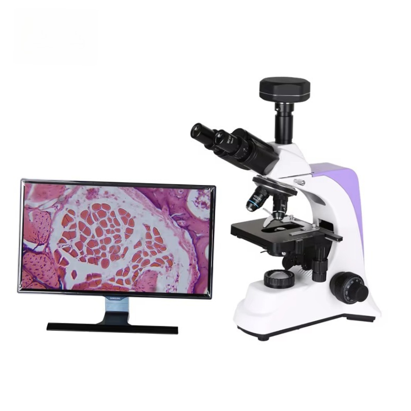 2026년형 의료 실험실 디지털 생물학 현미경 (과학자 - Medical Lab Microscope 리뷰 및 가격
